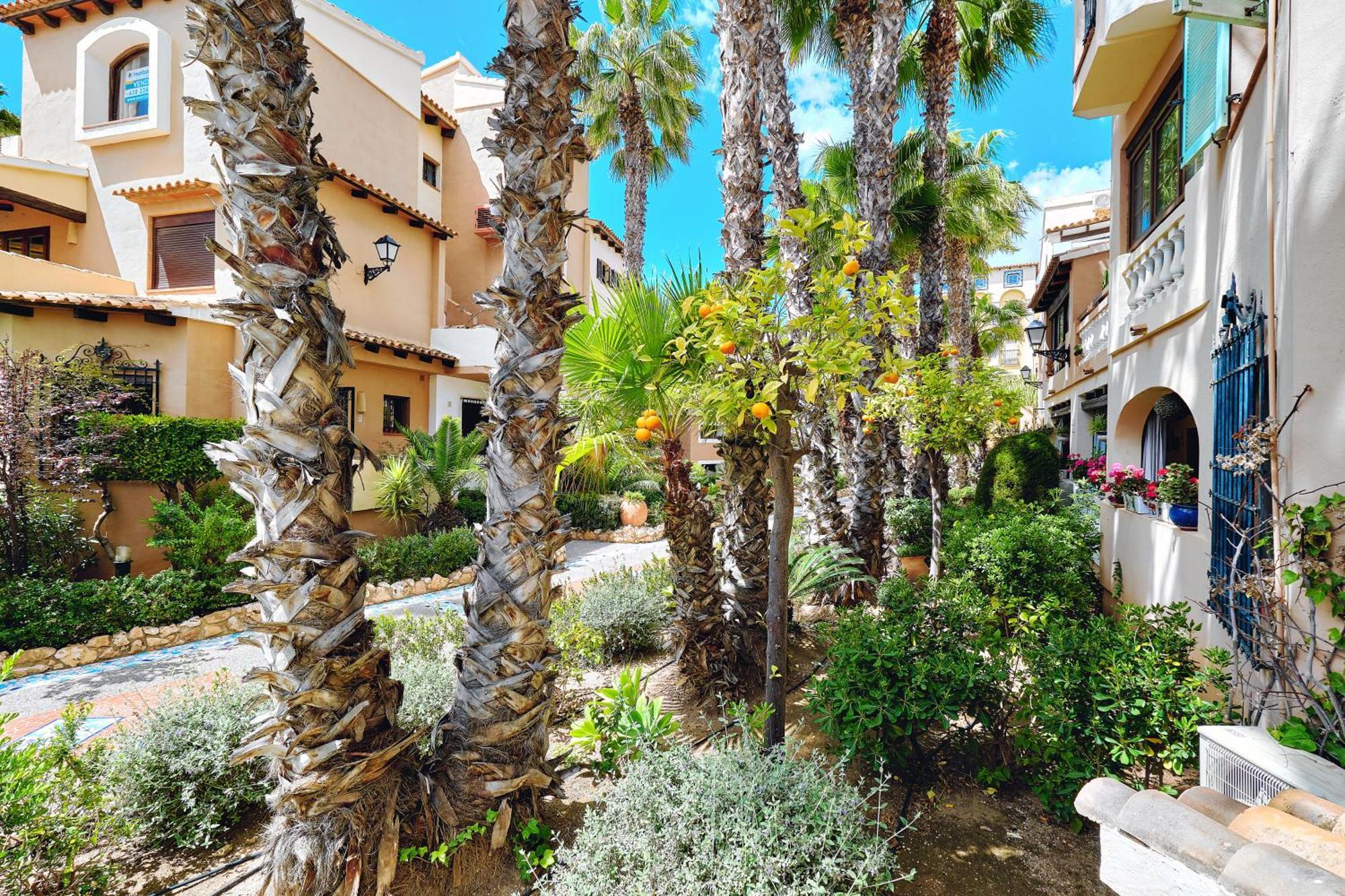 Apartamento Aldea Del Mar Torrevieja Buitenkant foto